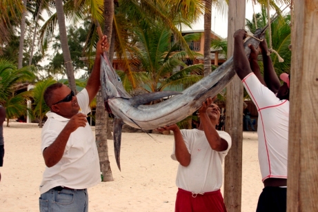 Dominikanci inače rijetko jedu ribu
